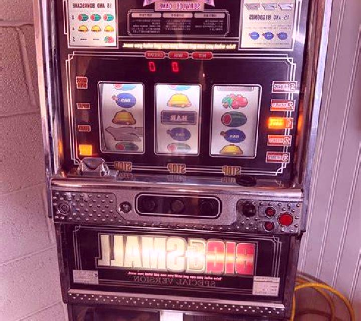 Bingo Adventure slot game