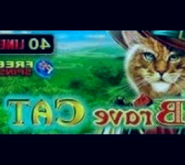 Brave Cat slot game
