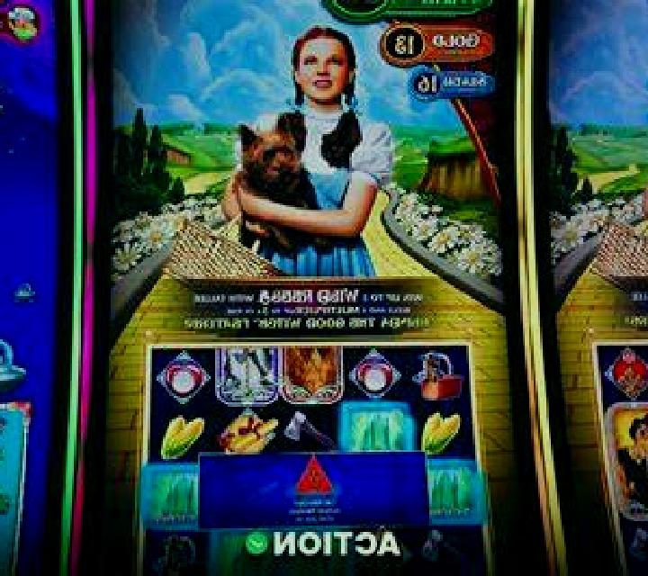 Dogs Gone Wild slot
