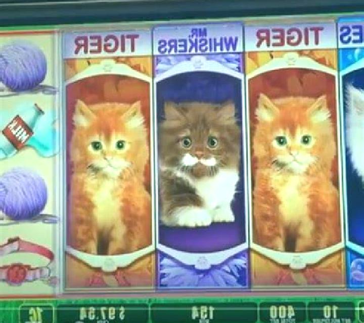 Dragon Prophecy slot game
