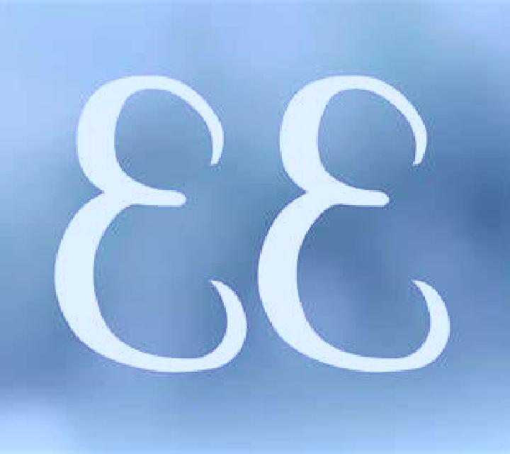 Fortune Macaw slot game