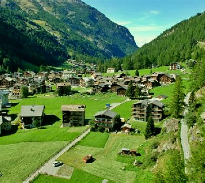 God of Cricket slot machine