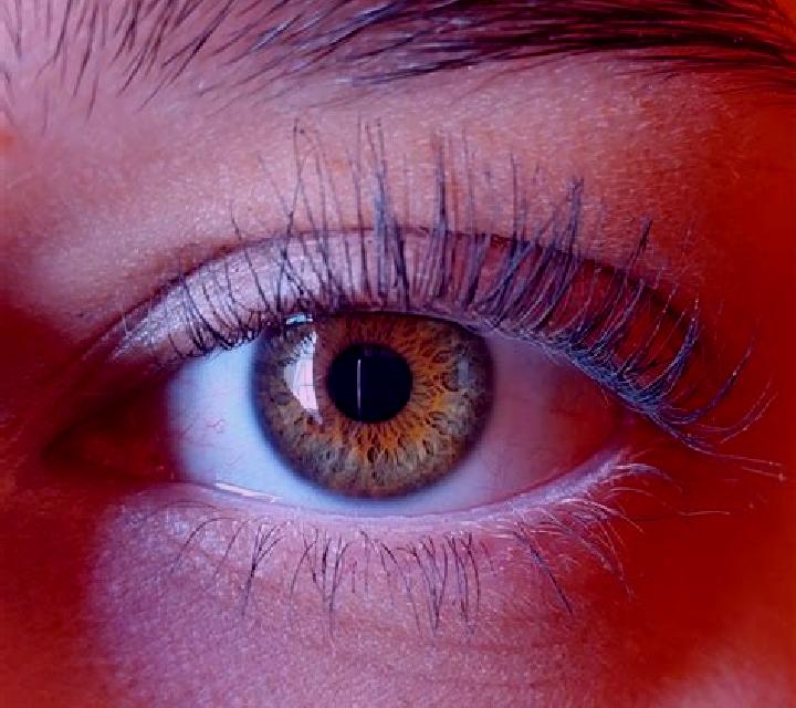 Golden Coin online slot