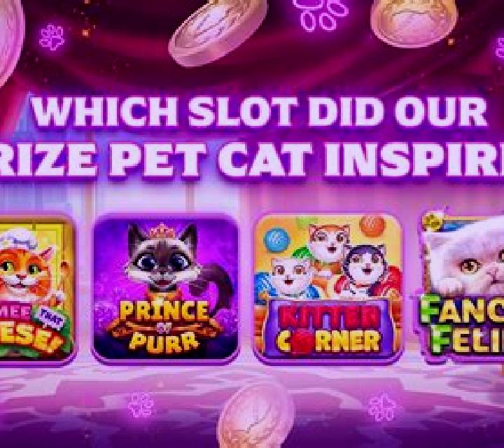 Hilo (Jili Games) slot game