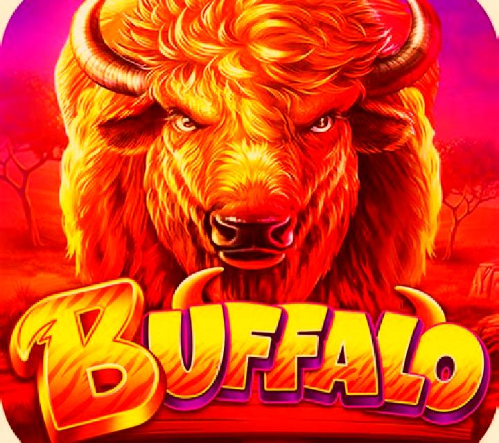 Jungel Reels online slot