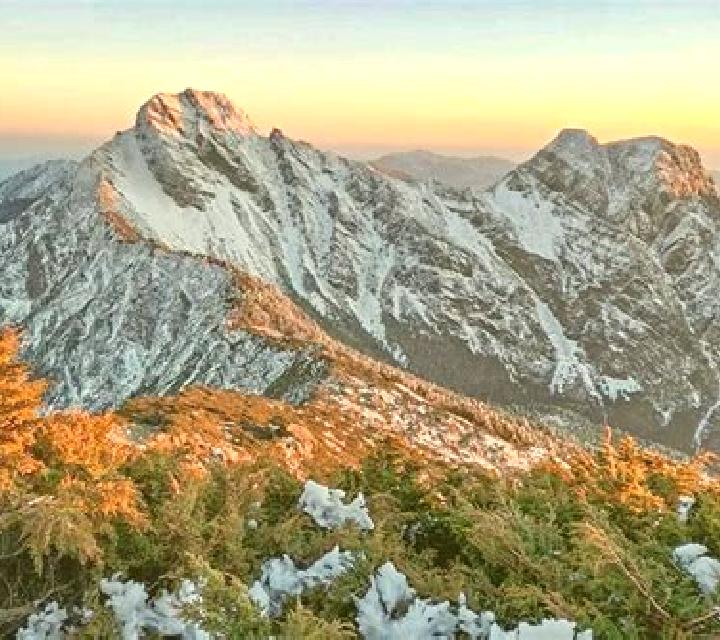 Legacy of the Tiger slot machine