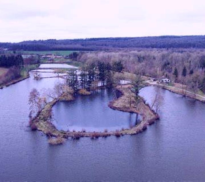 Magical Lake slot
