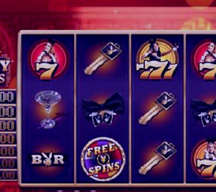Playboy Fortunes slot machine