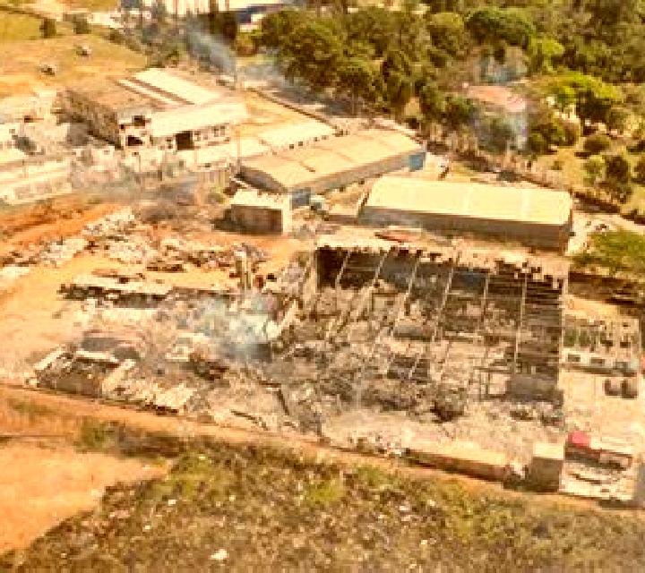Rich Roll In slot machine