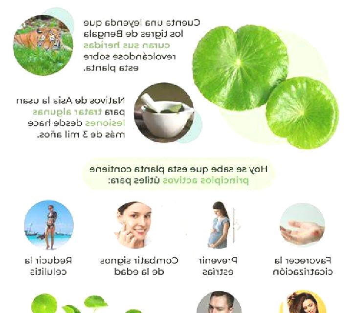 Royal Lotus Greentube online slot