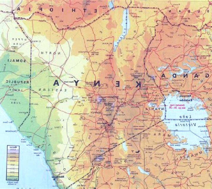 Scratch Pandamania online slot