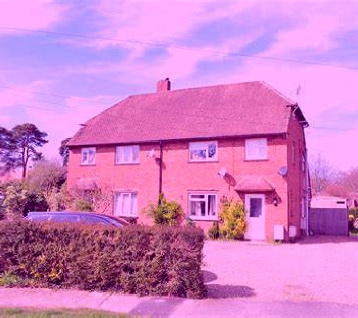 Sweet Punks slot