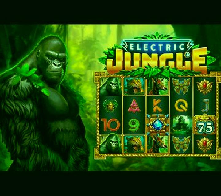 Voodoo Shop slot machine