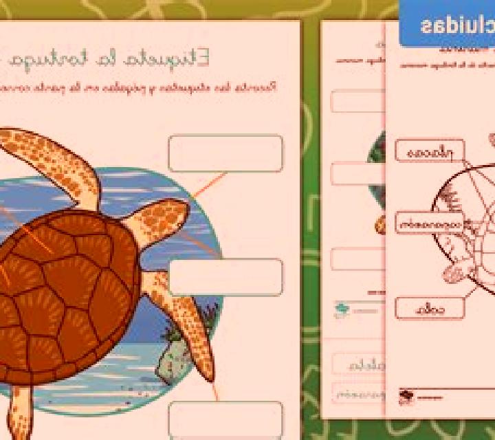Wild Gypsy slot machine