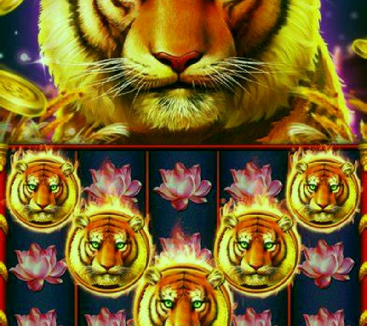 Wolf Strike slot game